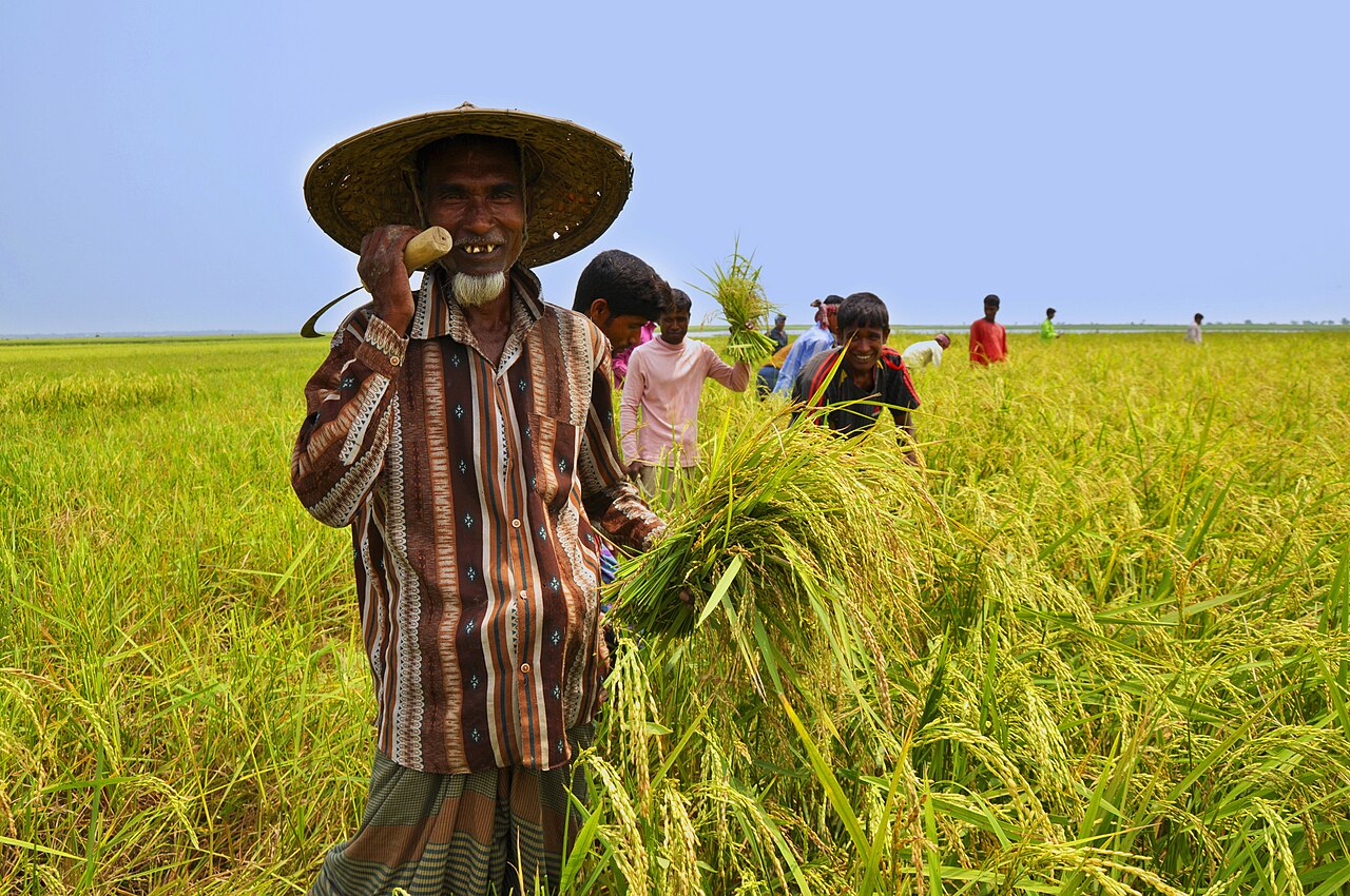 Farmer